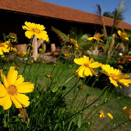 Parque Paraiso Das Flores Holambra Dış mekan fotoğraf
