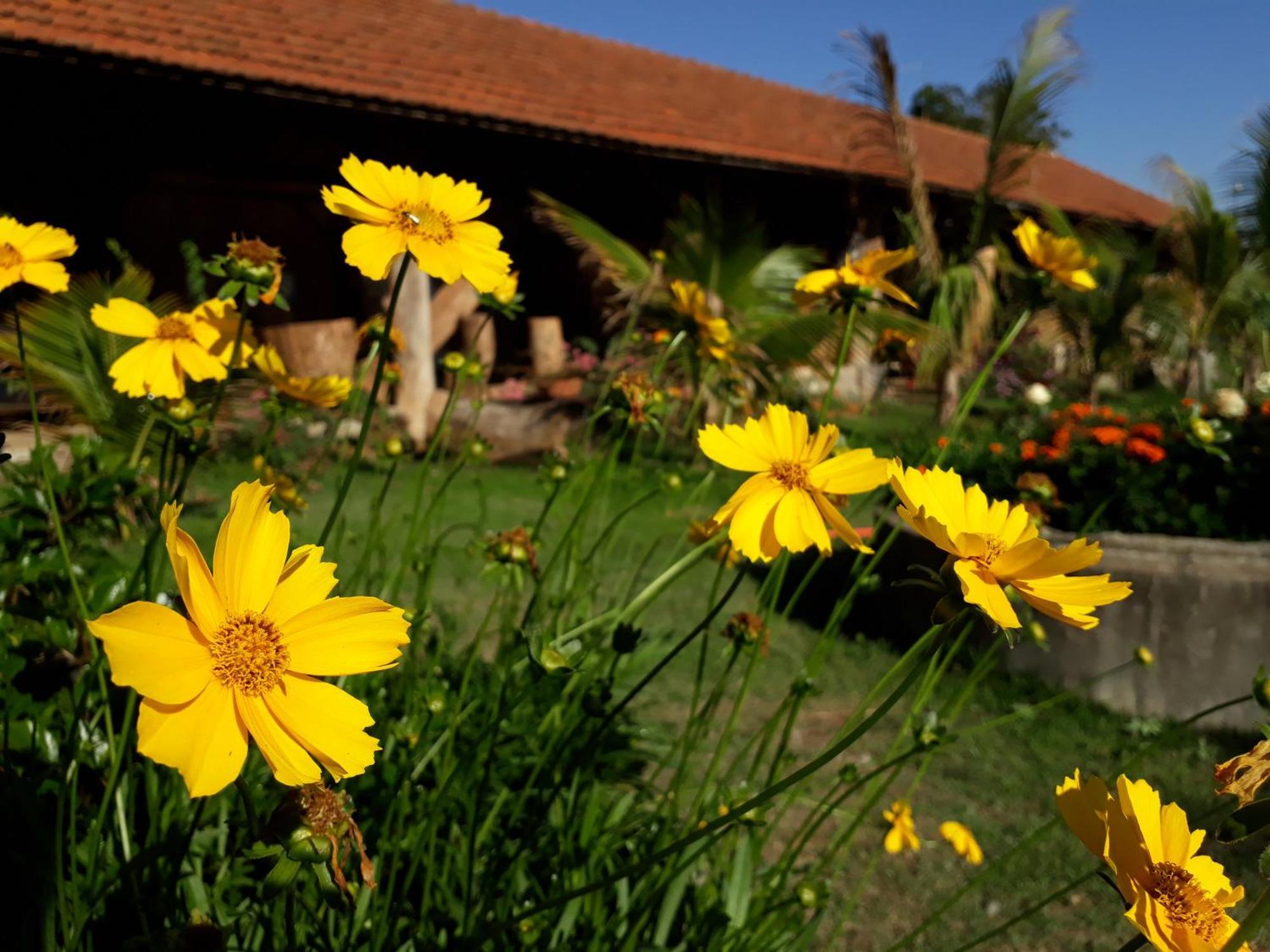 Parque Paraiso Das Flores Holambra Dış mekan fotoğraf