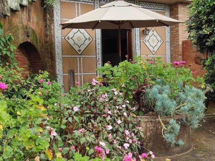Parque Paraiso Das Flores Holambra Dış mekan fotoğraf